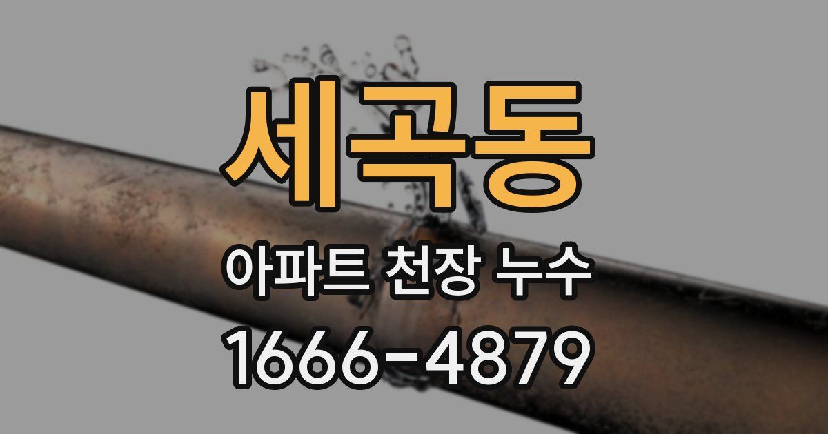 세곡동 아파트 천장 누수