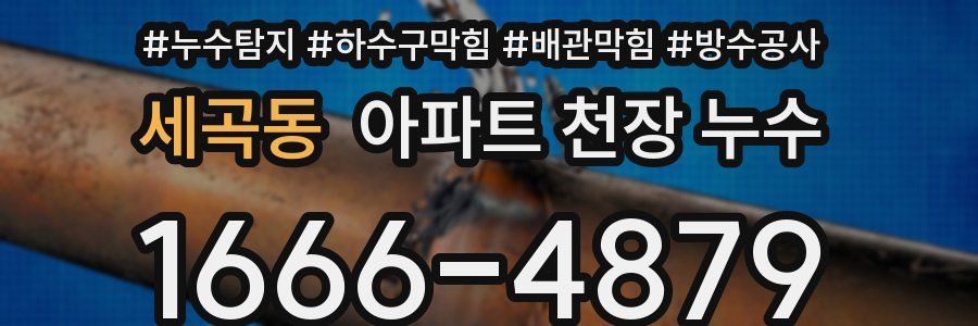 세곡동 아파트 천장 누수