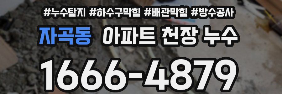 자곡동 아파트 천장 누수