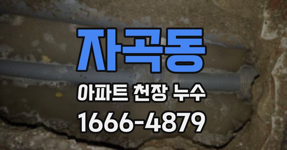 자곡동 아파트 천장 누수