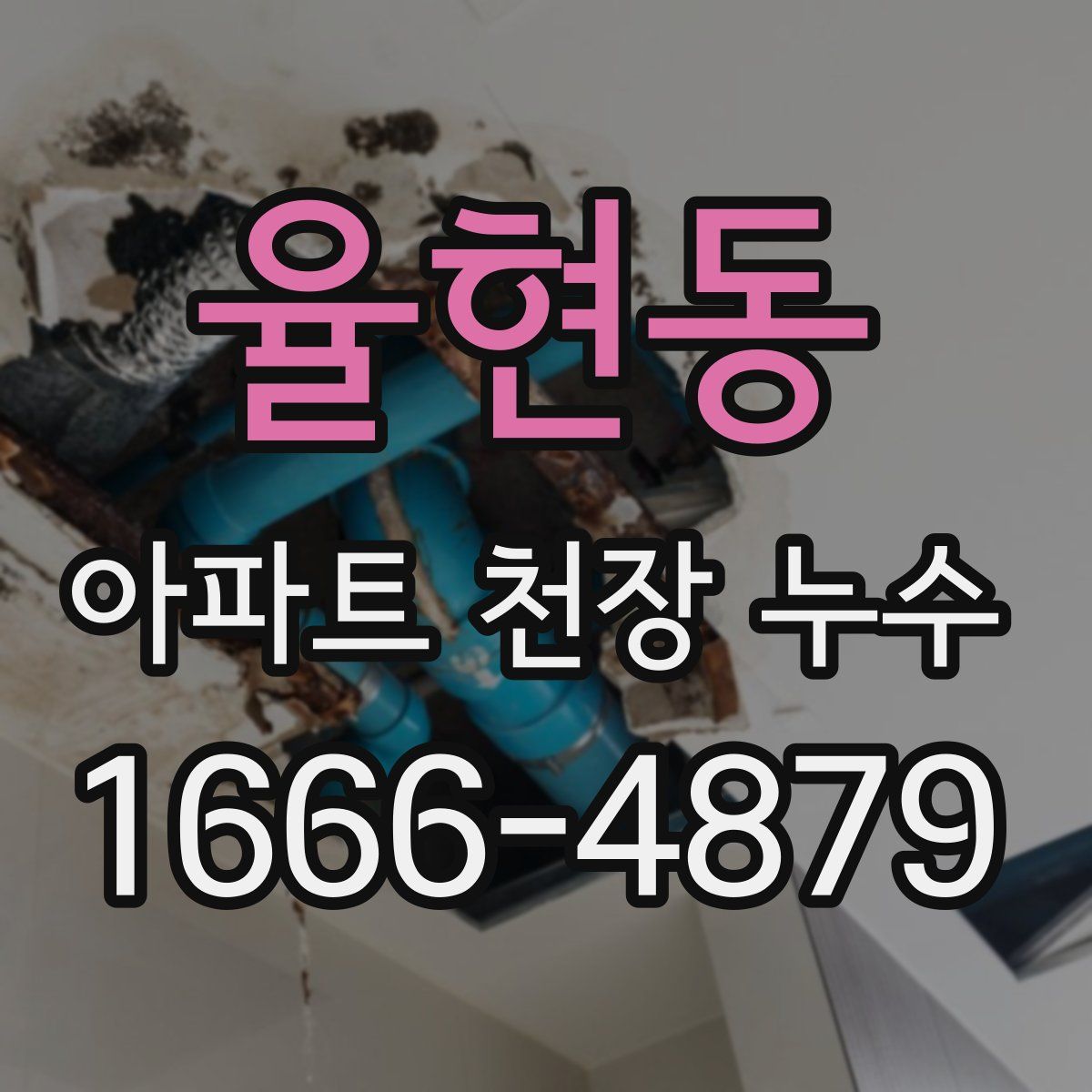 율현동 아파트 천장 누수