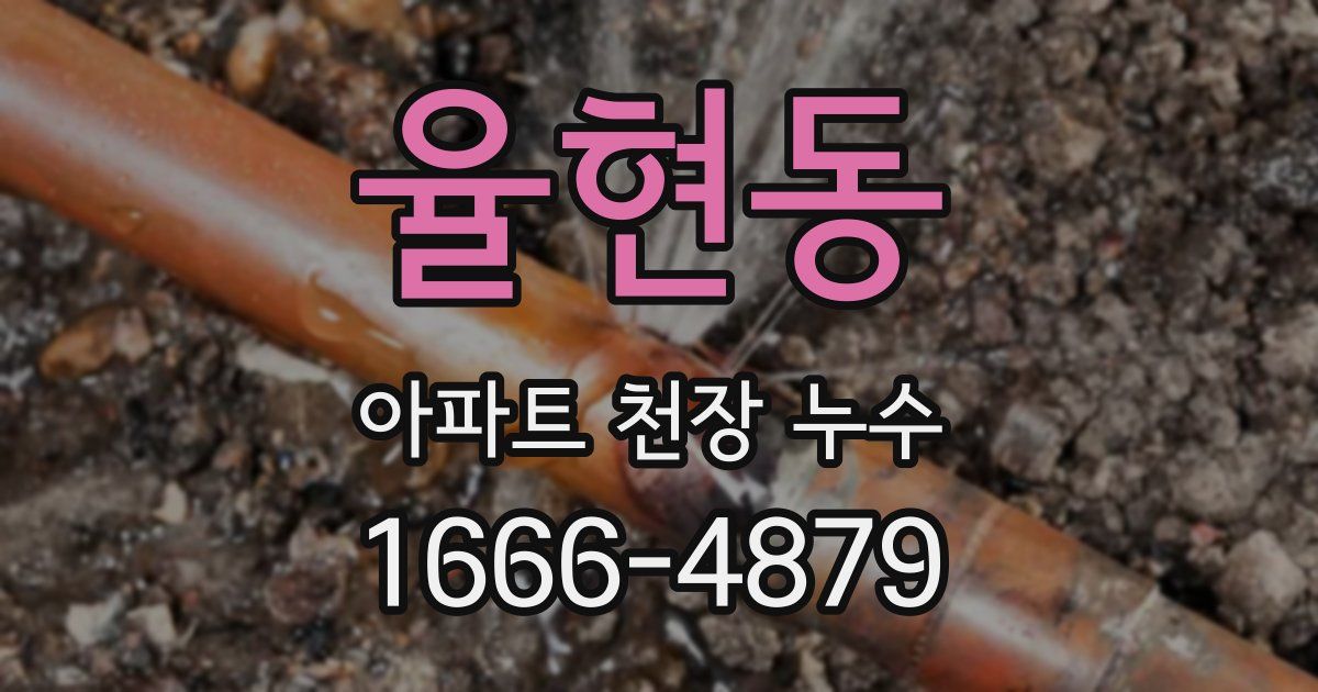 율현동 아파트 천장 누수