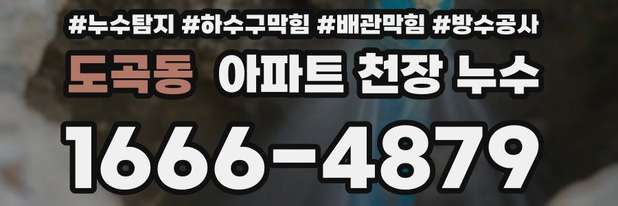 도곡동 아파트 천장 누수