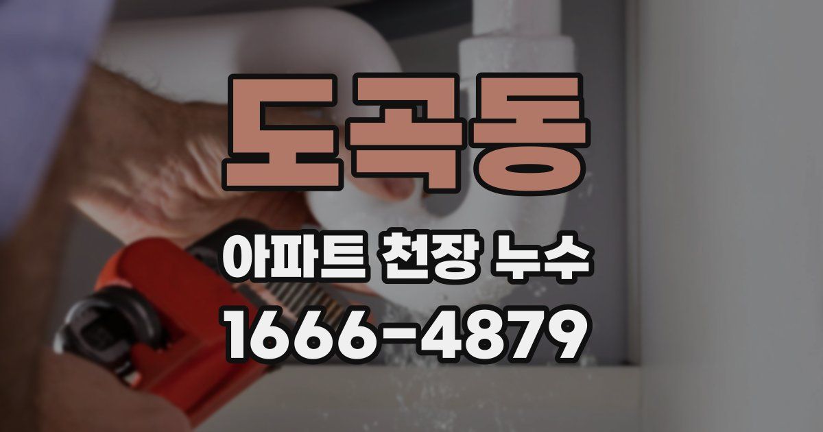 도곡동 아파트 천장 누수
