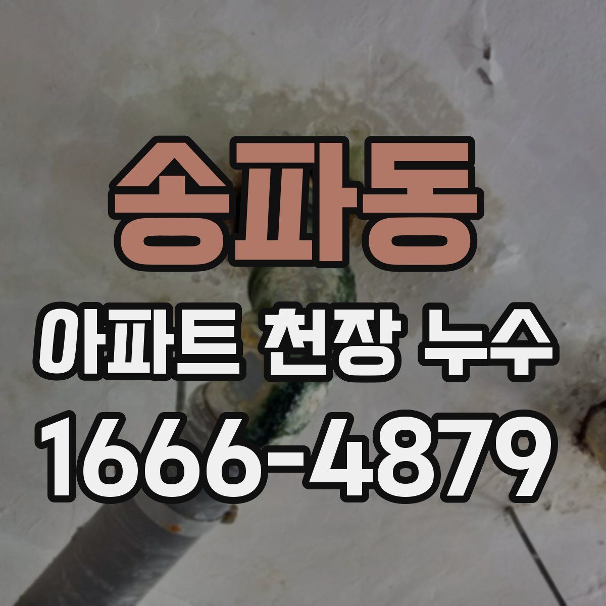 송파동 아파트 천장 누수