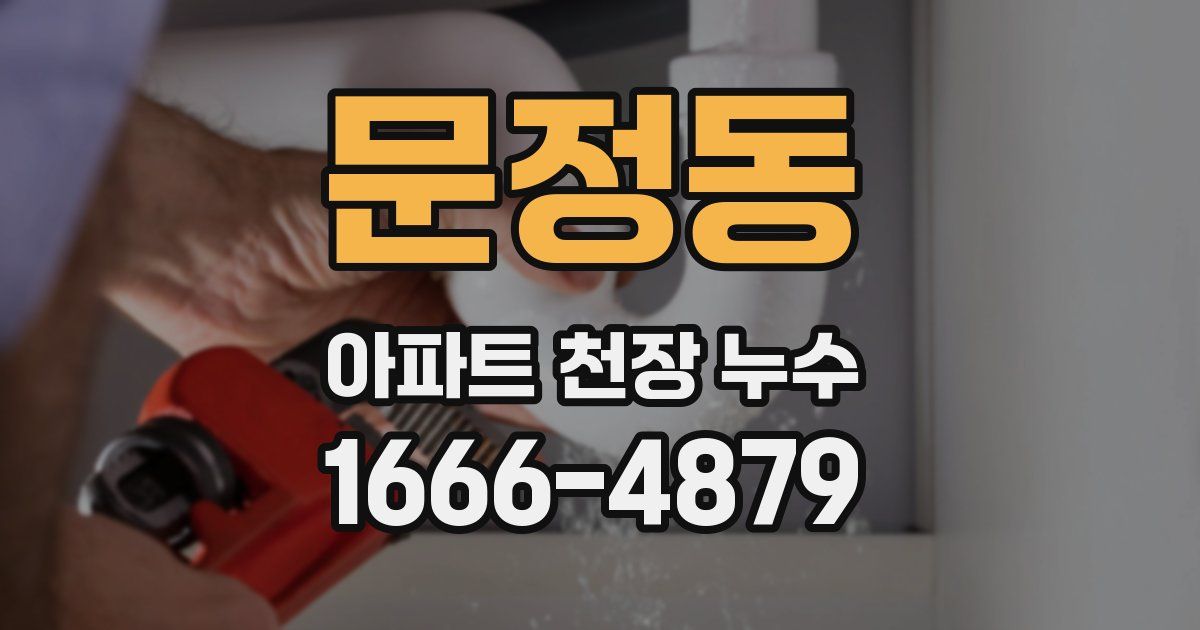 문정동 아파트 천장 누수