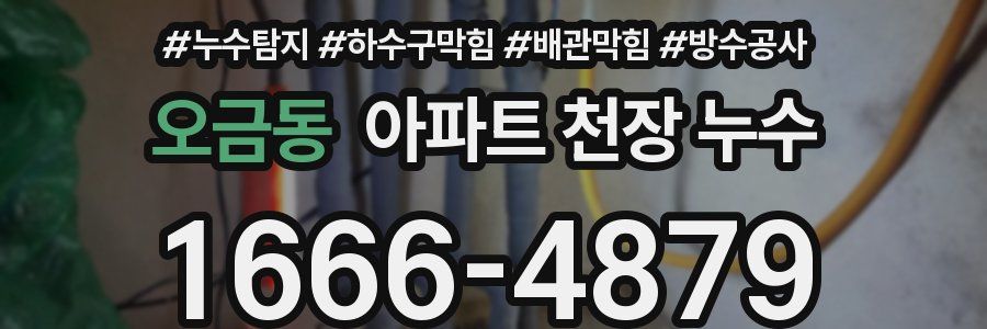 오금동 아파트 천장 누수