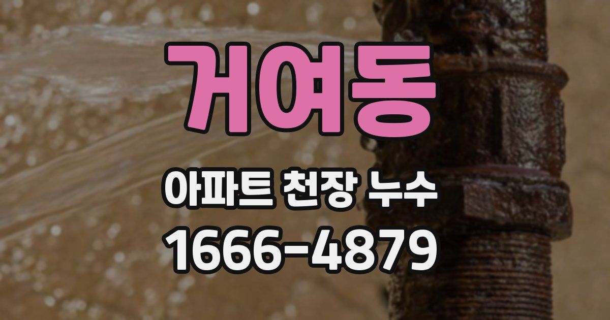거여동 아파트 천장 누수