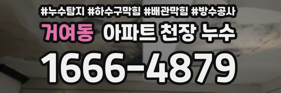 거여동 아파트 천장 누수