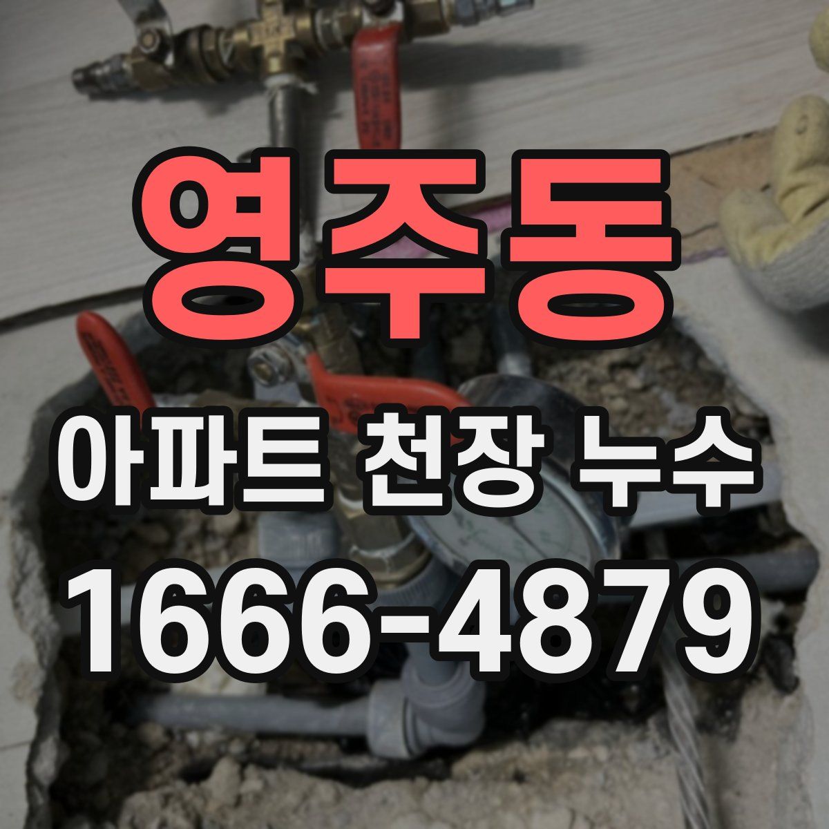 영주동 아파트 천장 누수