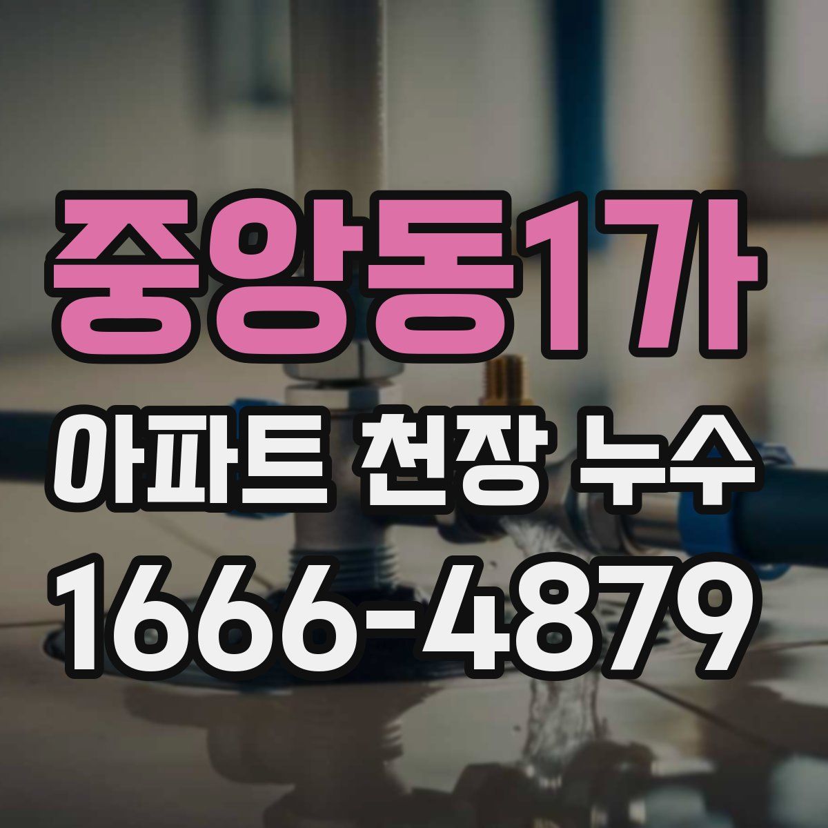 중앙동1가 아파트 천장 누수
