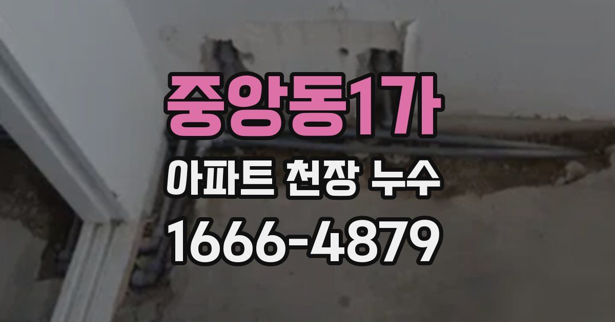 중앙동1가 아파트 천장 누수
