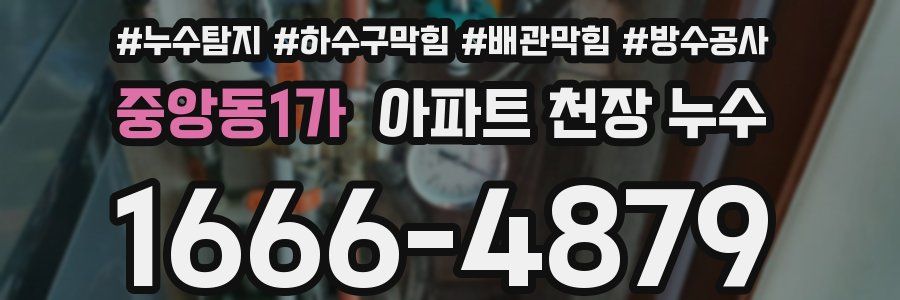 중앙동1가 아파트 천장 누수