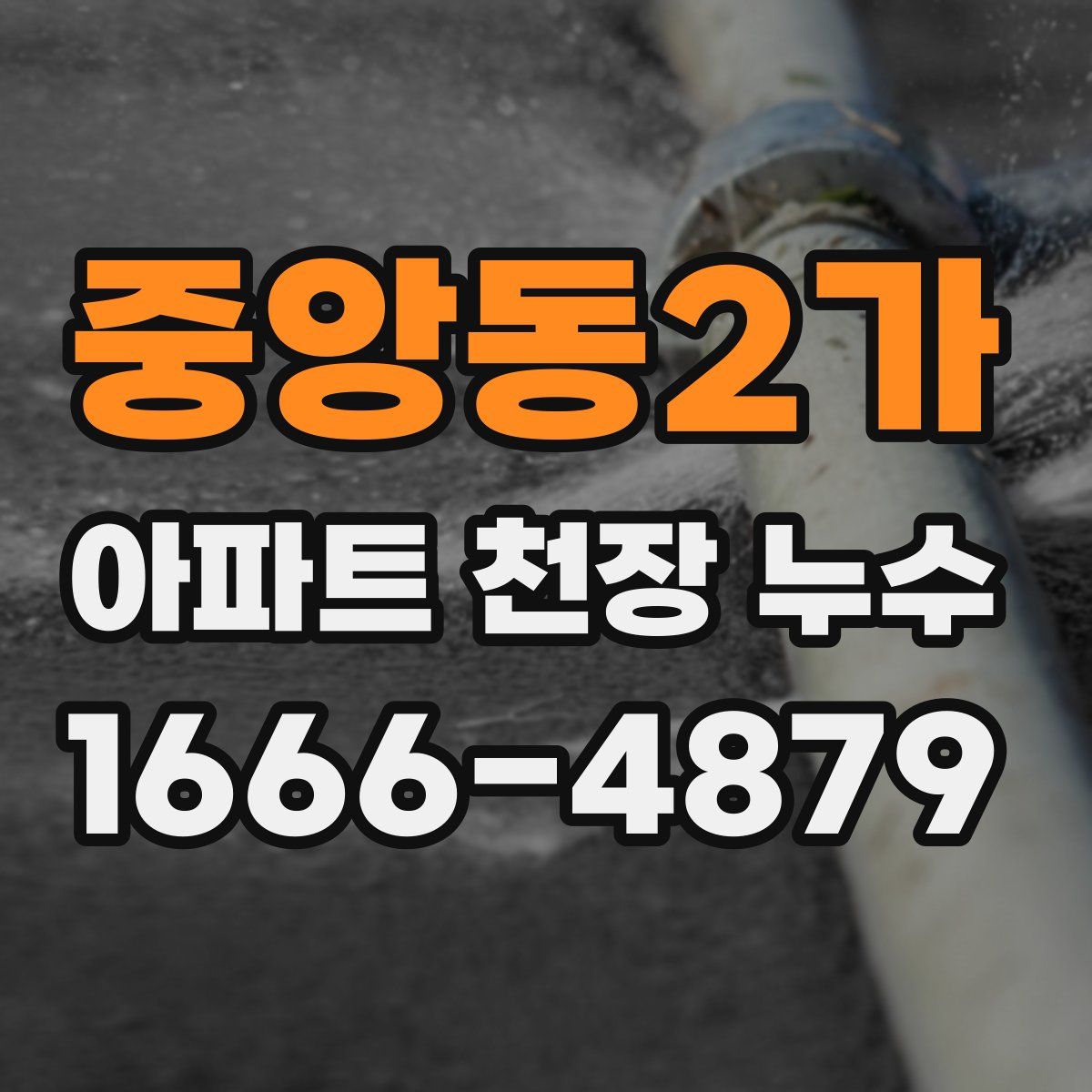 중앙동2가 아파트 천장 누수