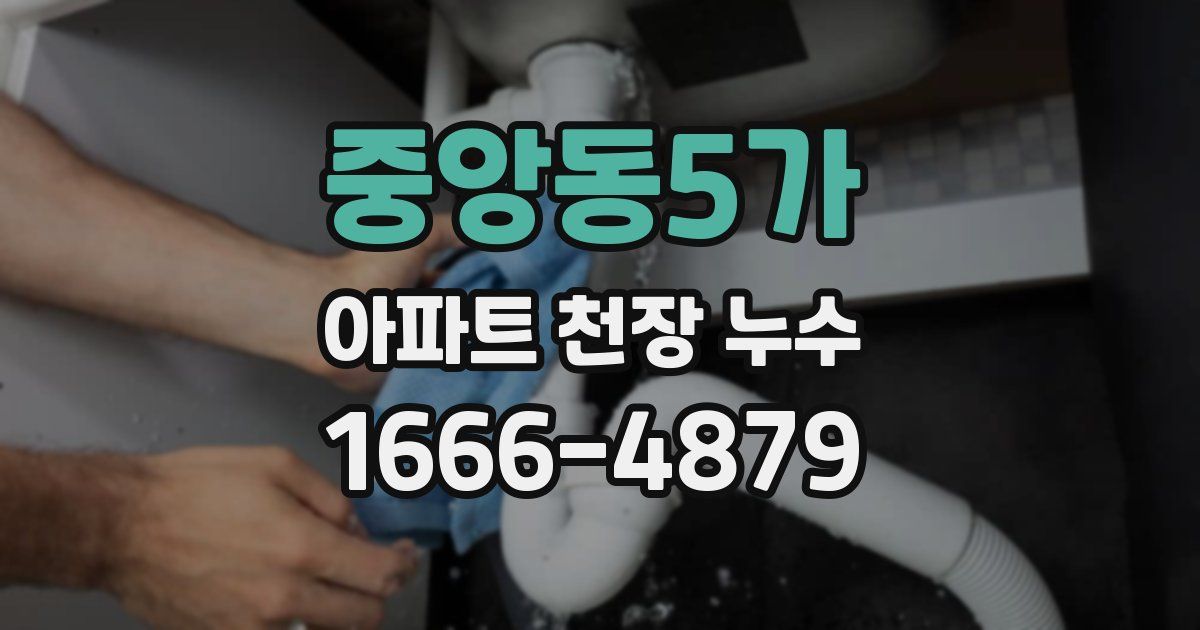 중앙동5가 아파트 천장 누수