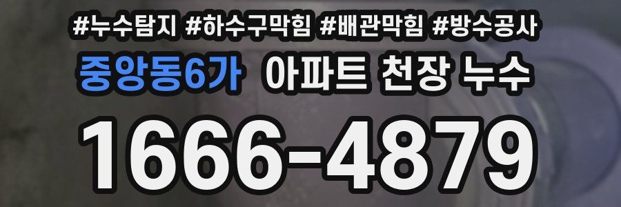 중앙동6가 아파트 천장 누수
