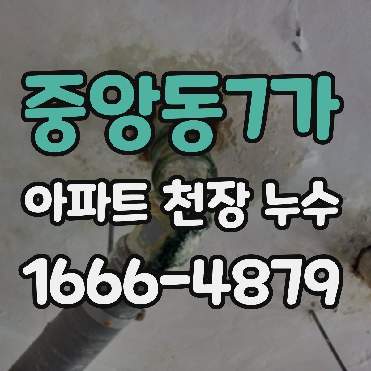 중앙동7가 아파트 천장 누수