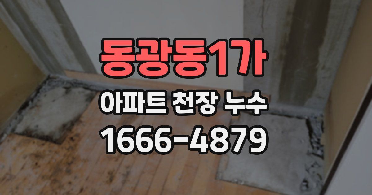 동광동1가 아파트 천장 누수
