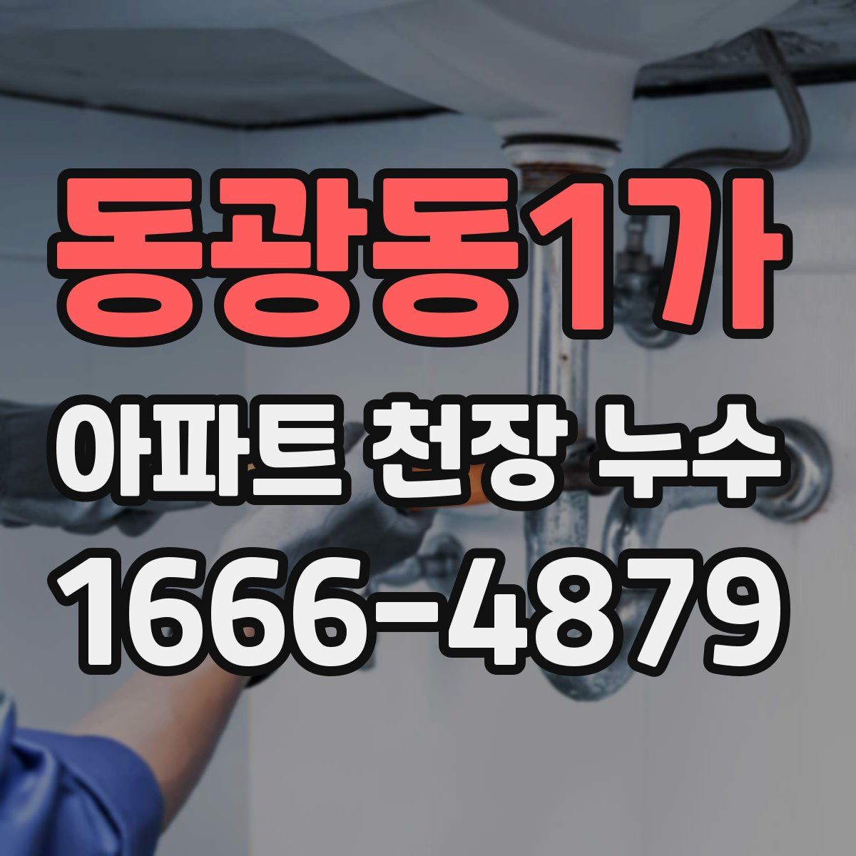 동광동1가 아파트 천장 누수