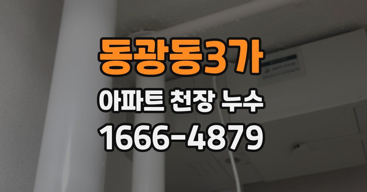 동광동3가 아파트 천장 누수