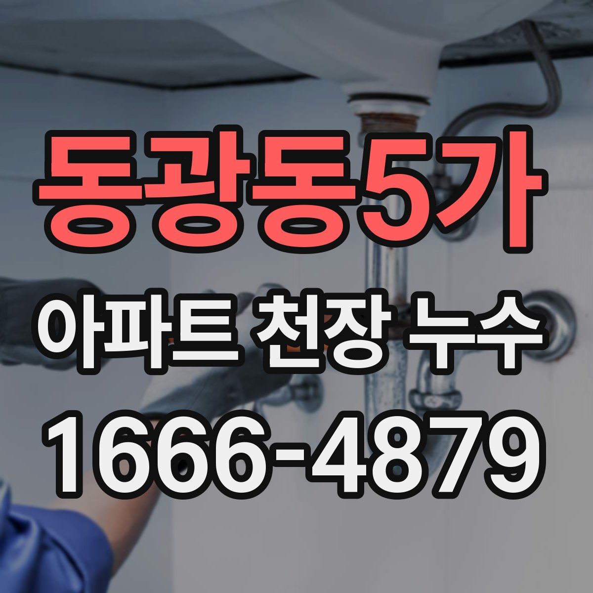 동광동5가 아파트 천장 누수