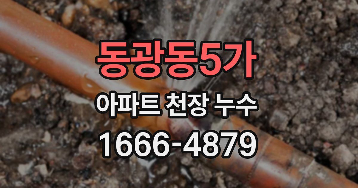 동광동5가 아파트 천장 누수