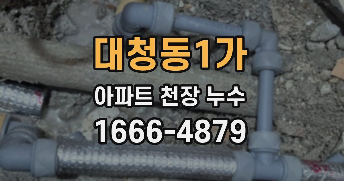 대청동1가 아파트 천장 누수