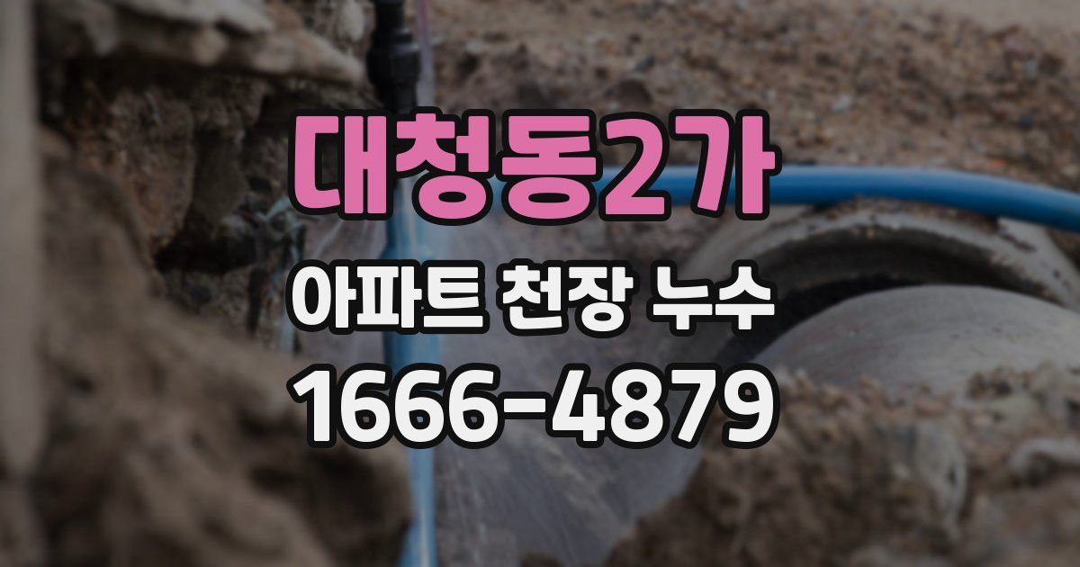 대청동2가 아파트 천장 누수