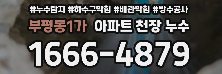 부평동1가 아파트 천장 누수