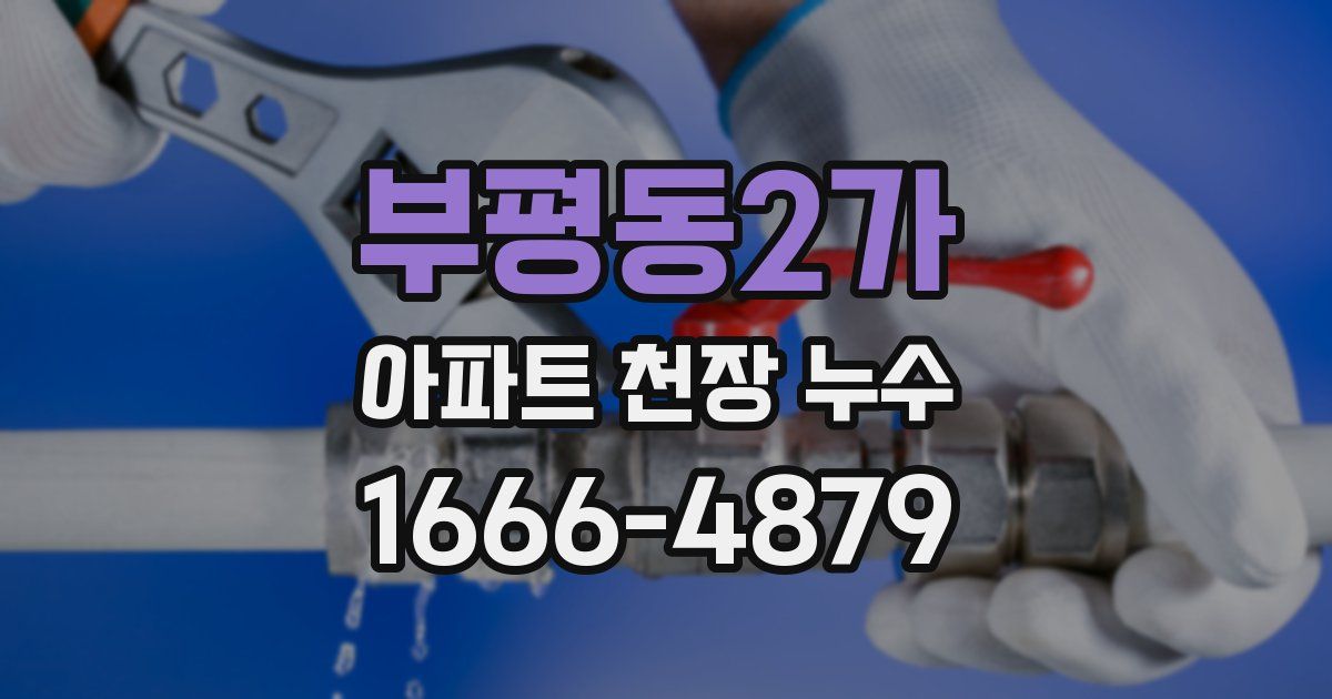 부평동2가 아파트 천장 누수