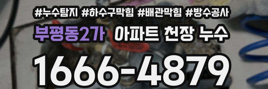 부평동2가 아파트 천장 누수