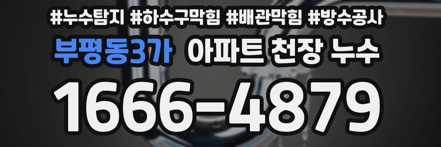 부평동3가 아파트 천장 누수