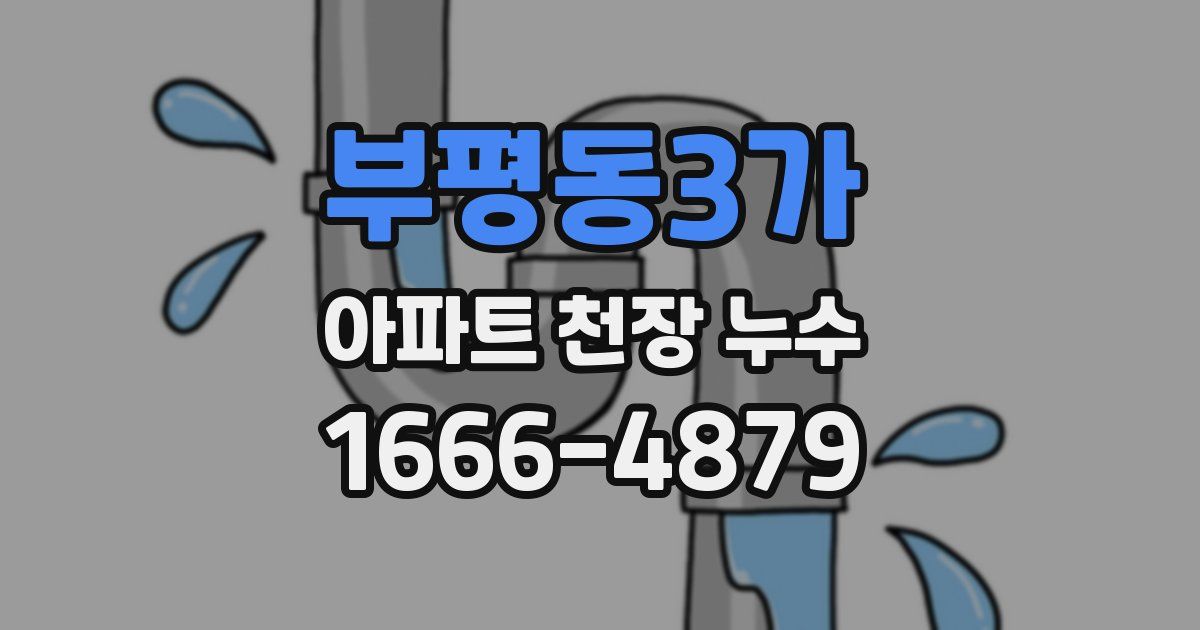 부평동3가 아파트 천장 누수