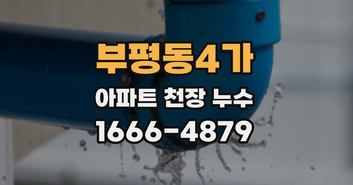 부평동4가 아파트 천장 누수
