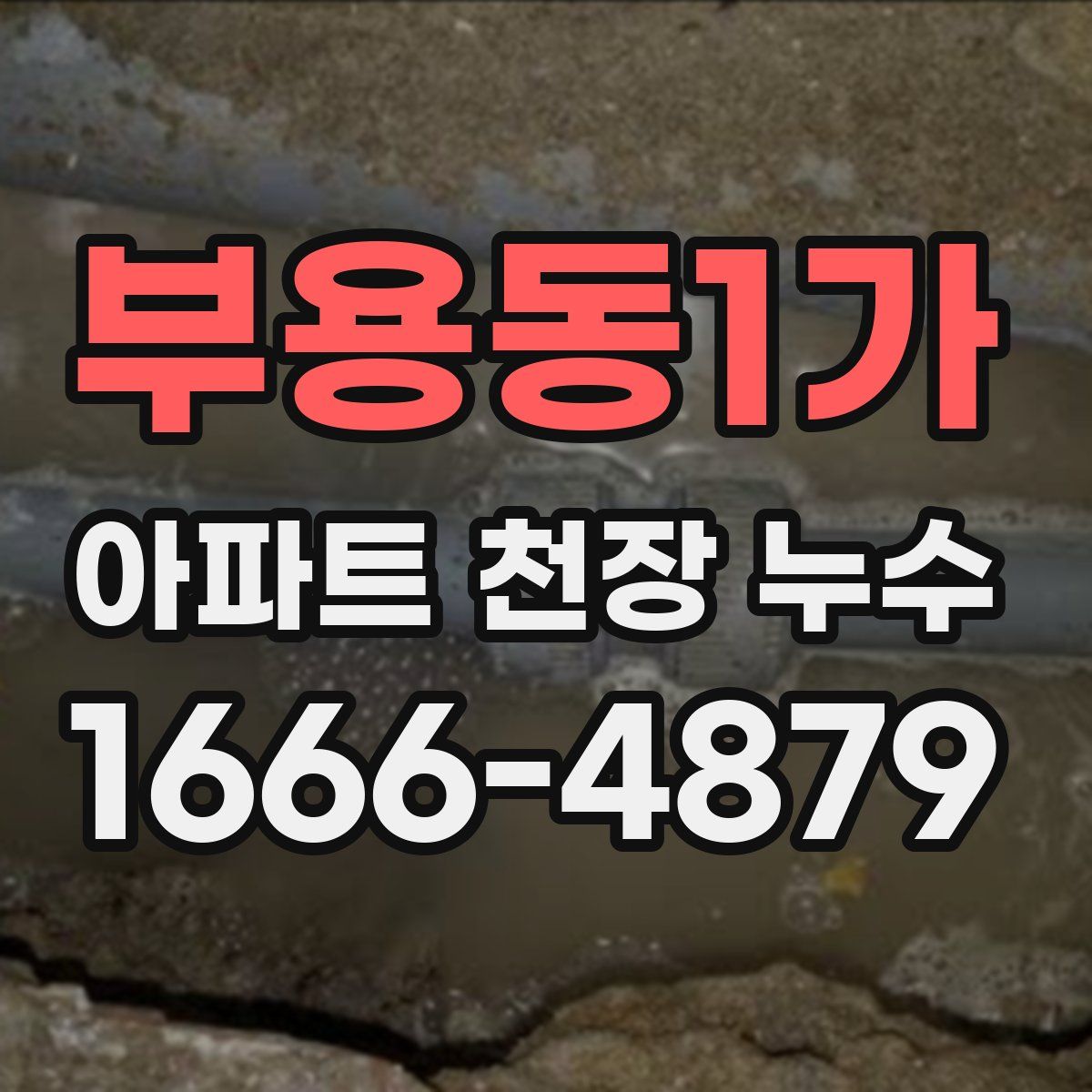 부용동1가 아파트 천장 누수