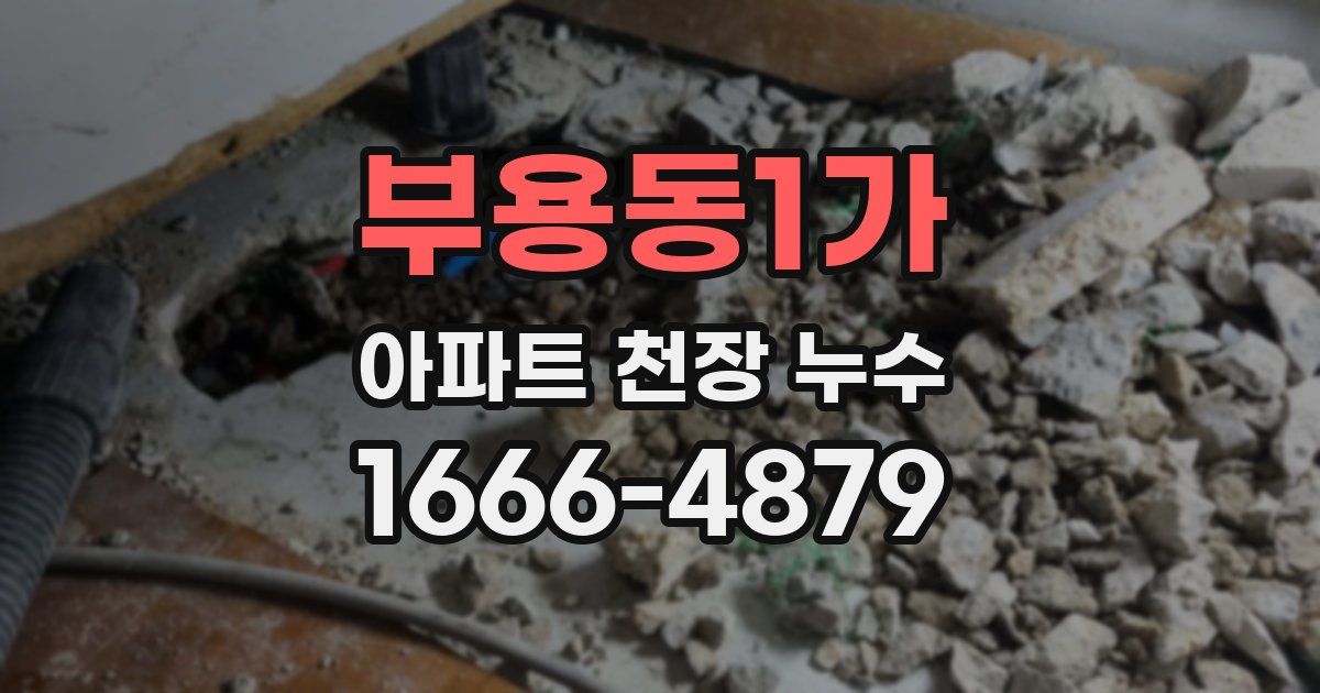 부용동1가 아파트 천장 누수
