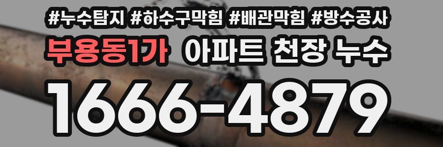 부용동1가 아파트 천장 누수