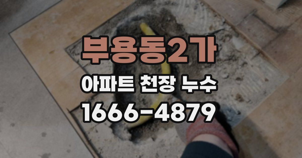 부용동2가 아파트 천장 누수
