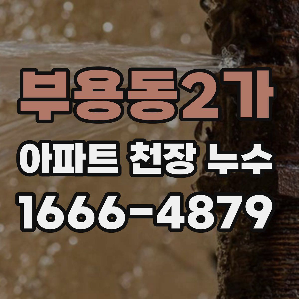 부용동2가 아파트 천장 누수