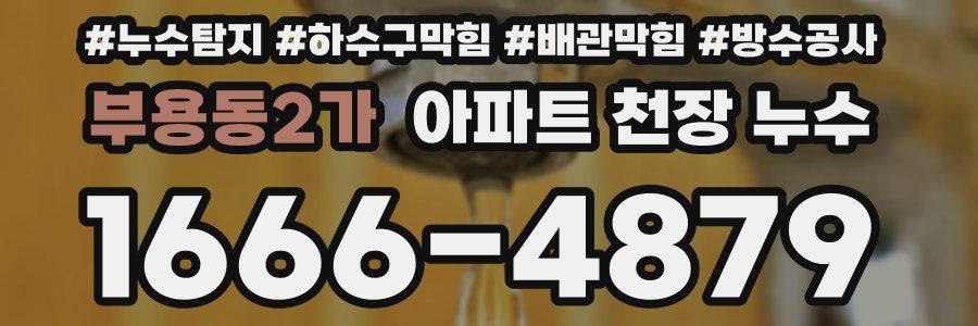 부용동2가 아파트 천장 누수