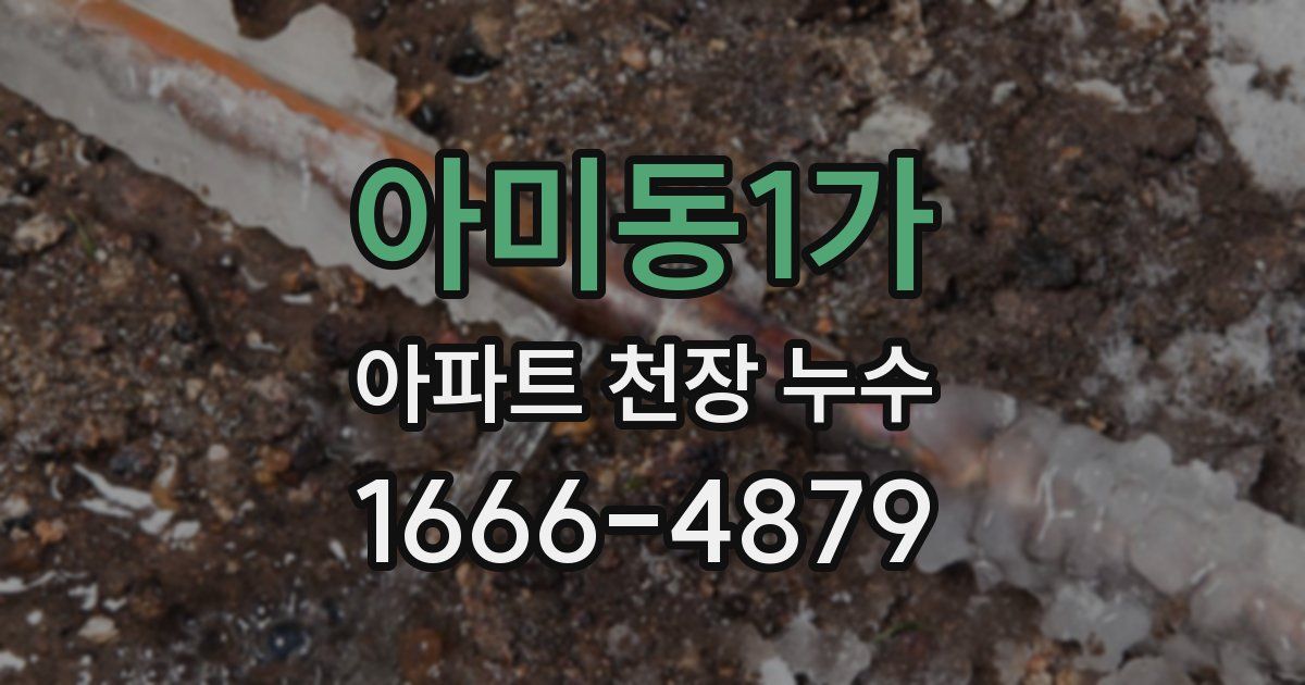 아미동1가 아파트 천장 누수