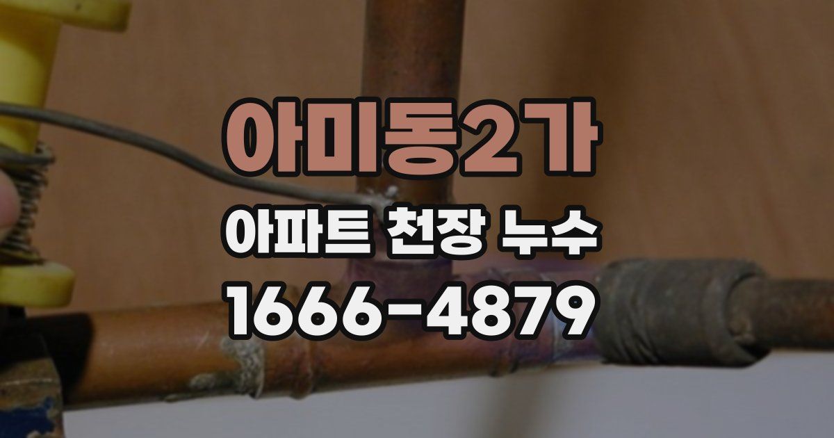 아미동2가 아파트 천장 누수
