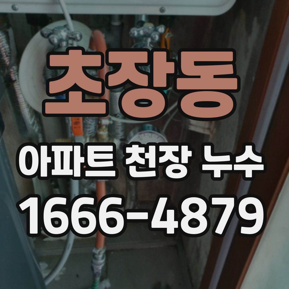 초장동 아파트 천장 누수