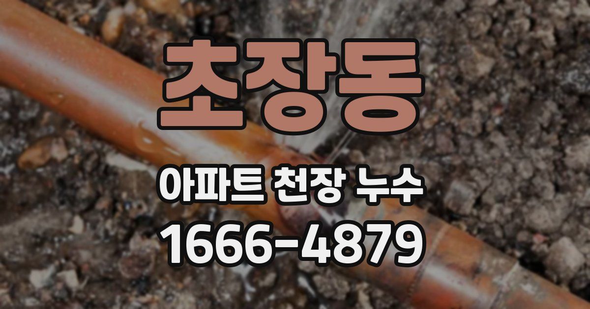 초장동 아파트 천장 누수