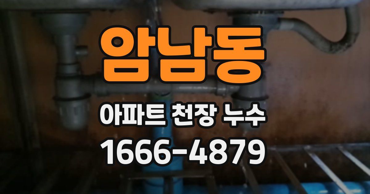 암남동 아파트 천장 누수