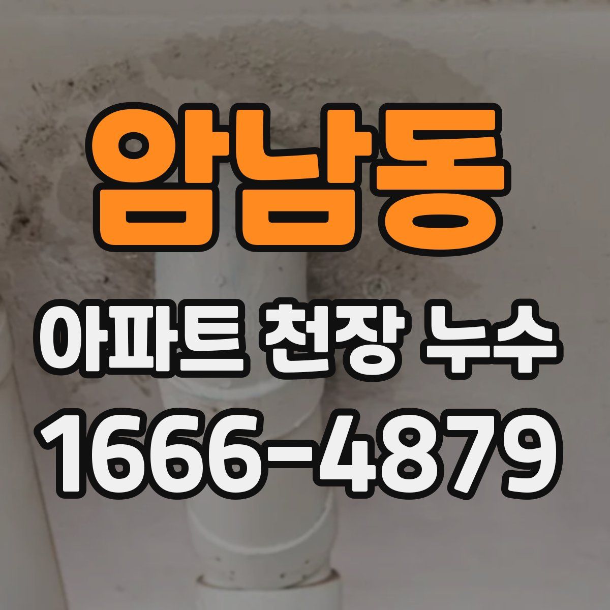 암남동 아파트 천장 누수