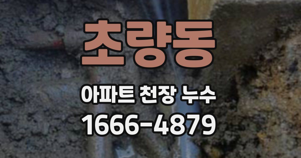초량동 아파트 천장 누수