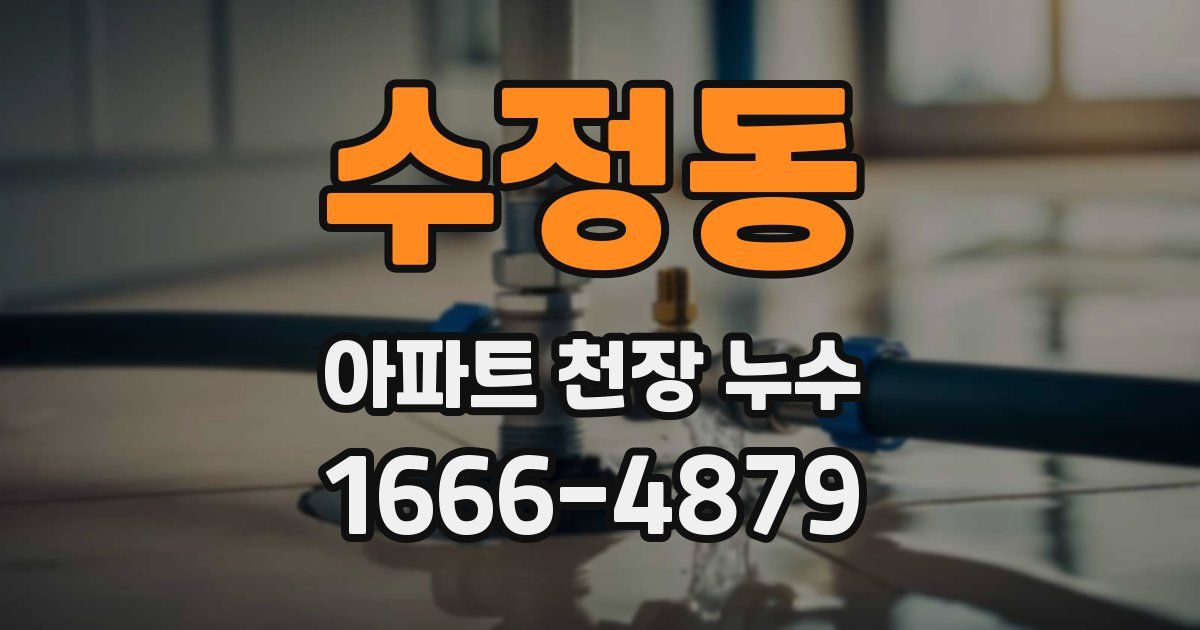 수정동 아파트 천장 누수