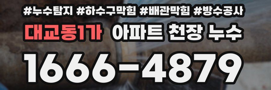 대교동1가 아파트 천장 누수