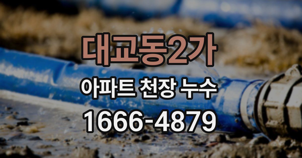 대교동2가 아파트 천장 누수
